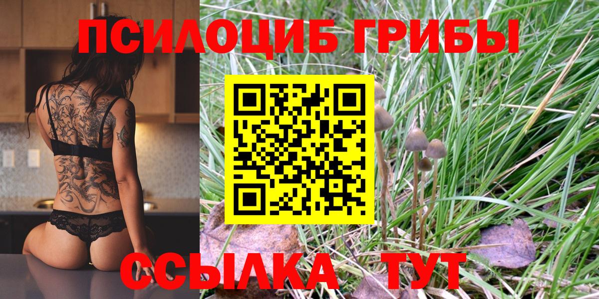 Псилоцибиновые грибы мицелий Балашиха